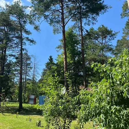 Divcibare Kuca Jure Villa Exterior photo