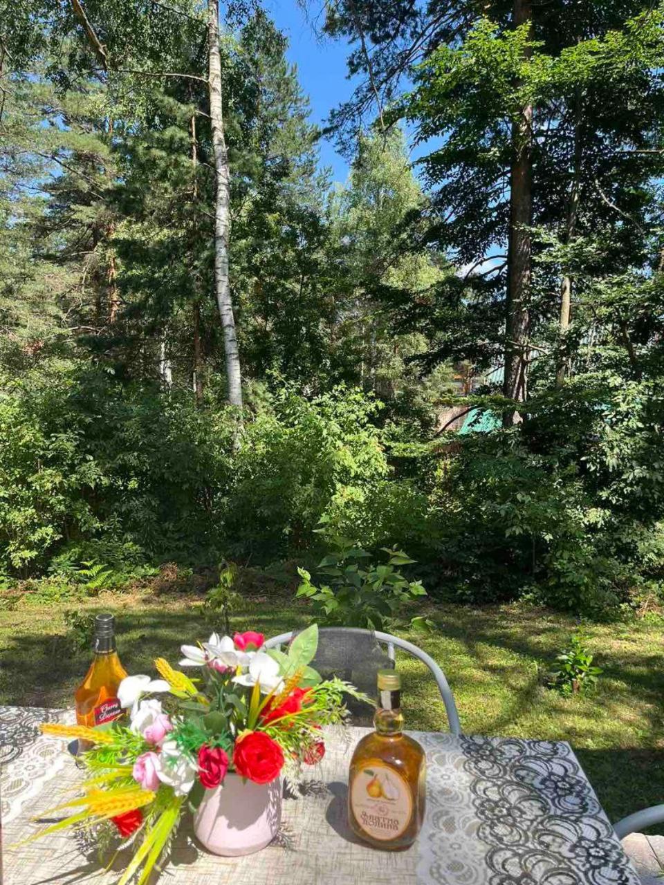 Kuca Jure Holiday home