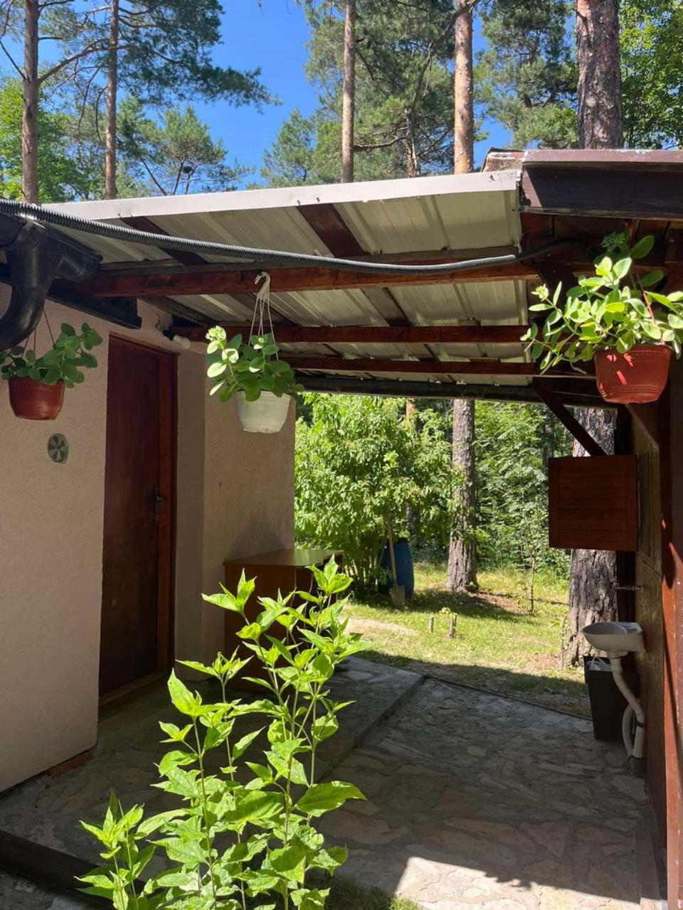 Holiday home Kuca Jure