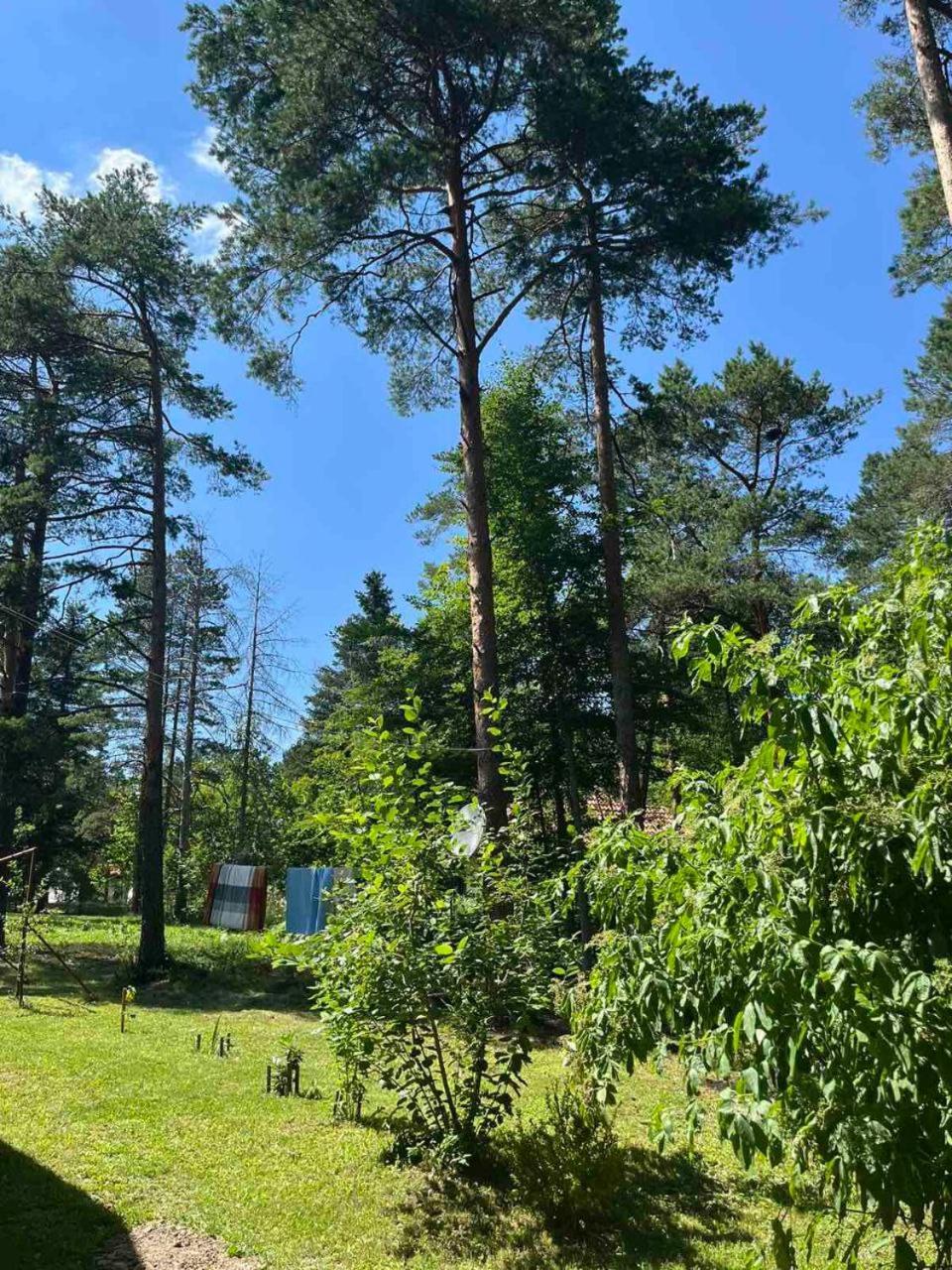 Kuca Jure Holiday home